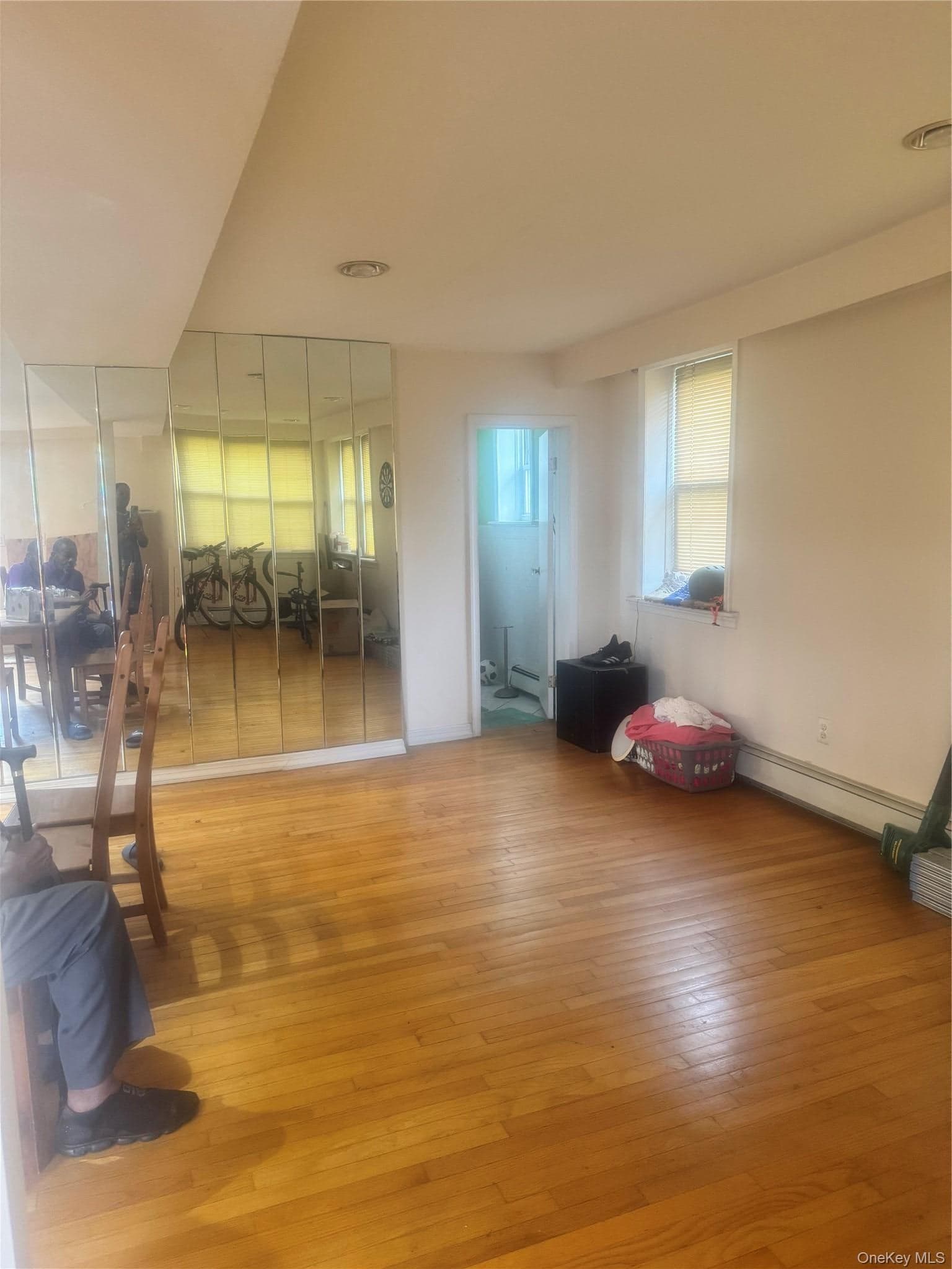 670 E 98th Street thumbnail 6