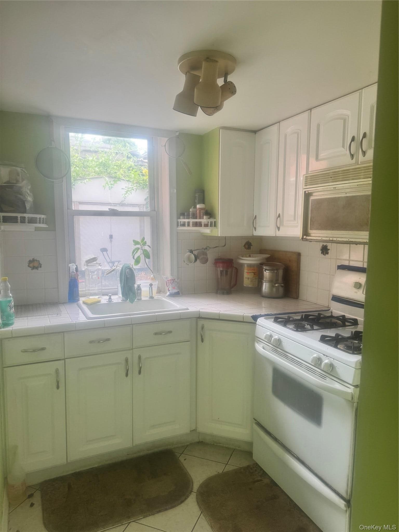 670 E 98th Street thumbnail 4