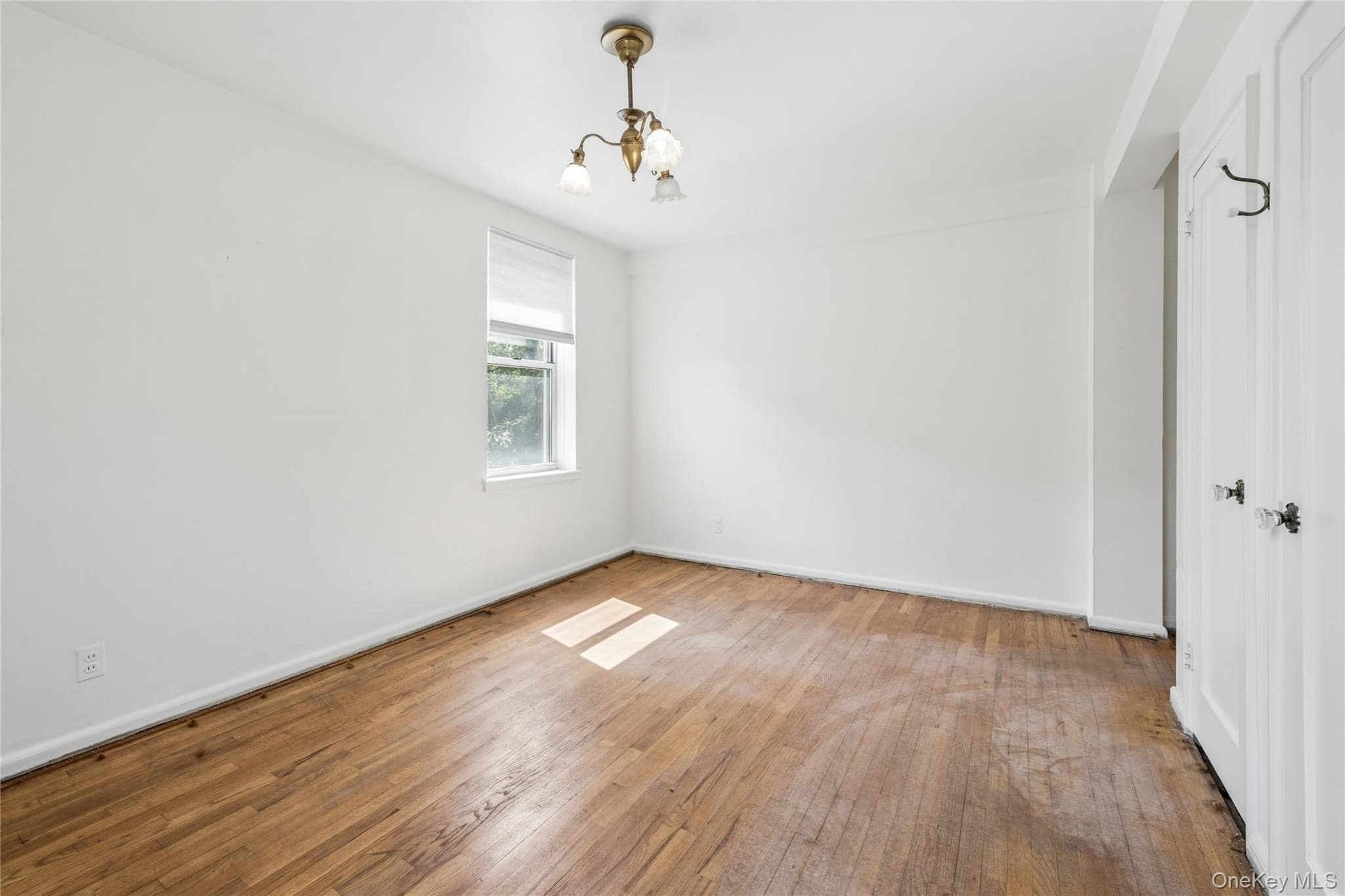 247 Parkview Avenue Unit: 3P thumbnail 17