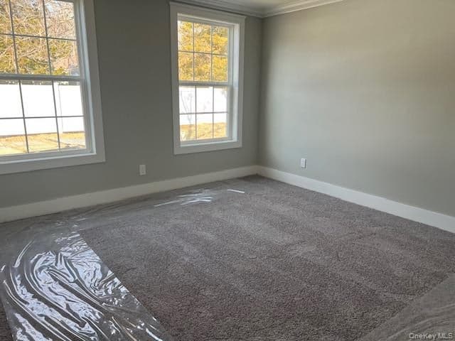 159 Alexander Avenue thumbnail 18
