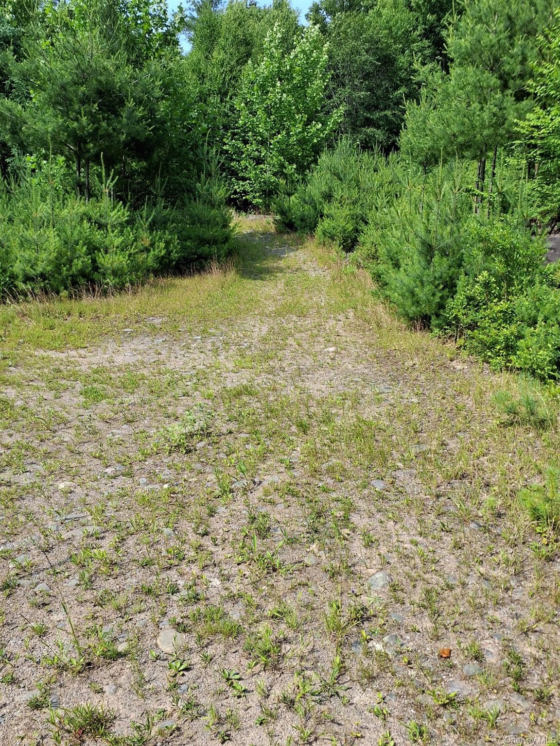 96 Hasbrouck Road thumbnail 6