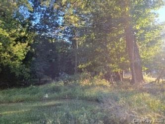 144 Old Haverstraw Road thumbnail 3