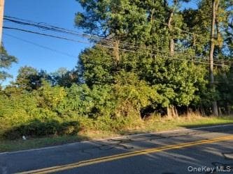 144 Old Haverstraw Road thumbnail 4