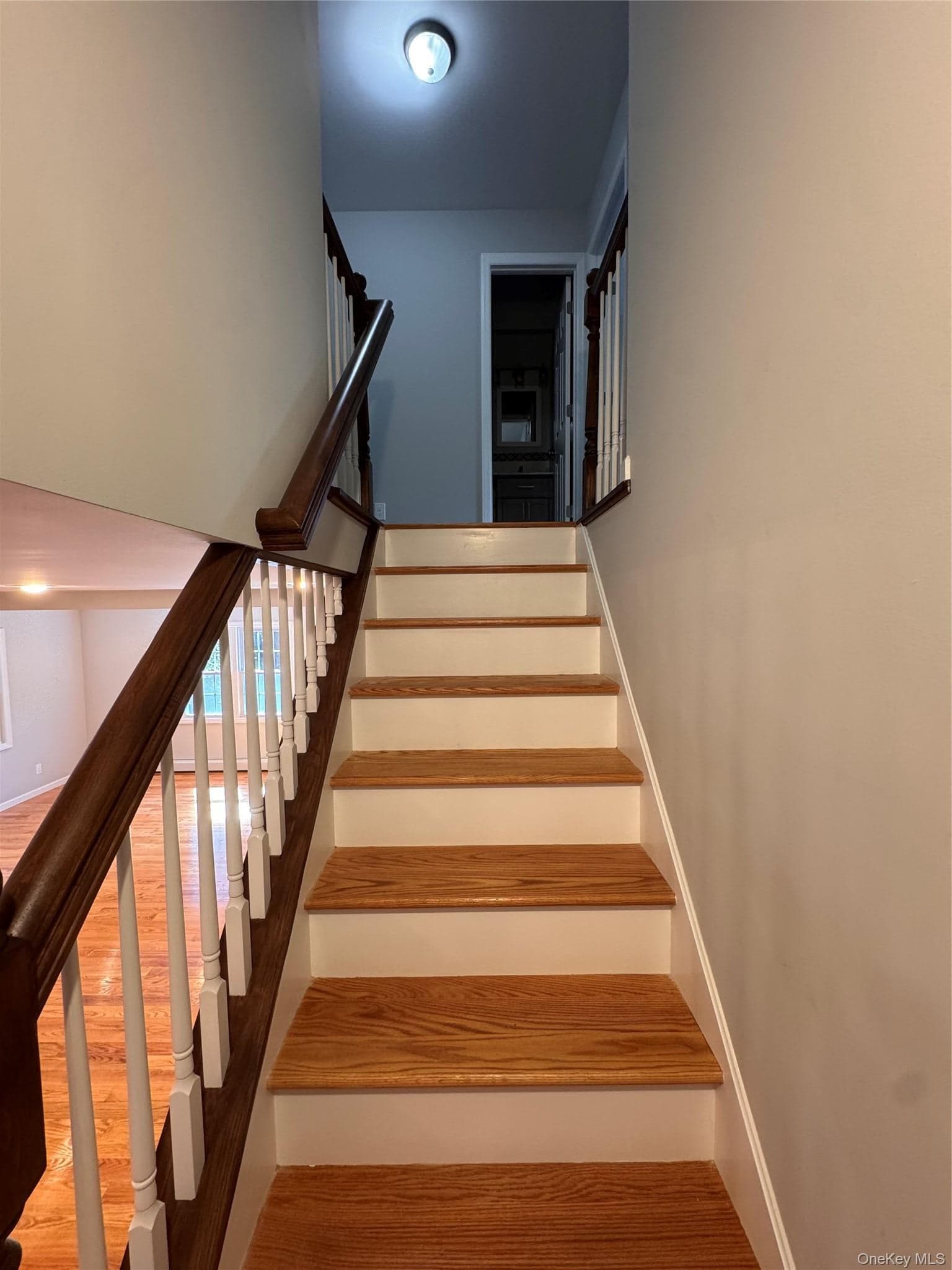 4 Barnes Road thumbnail 15