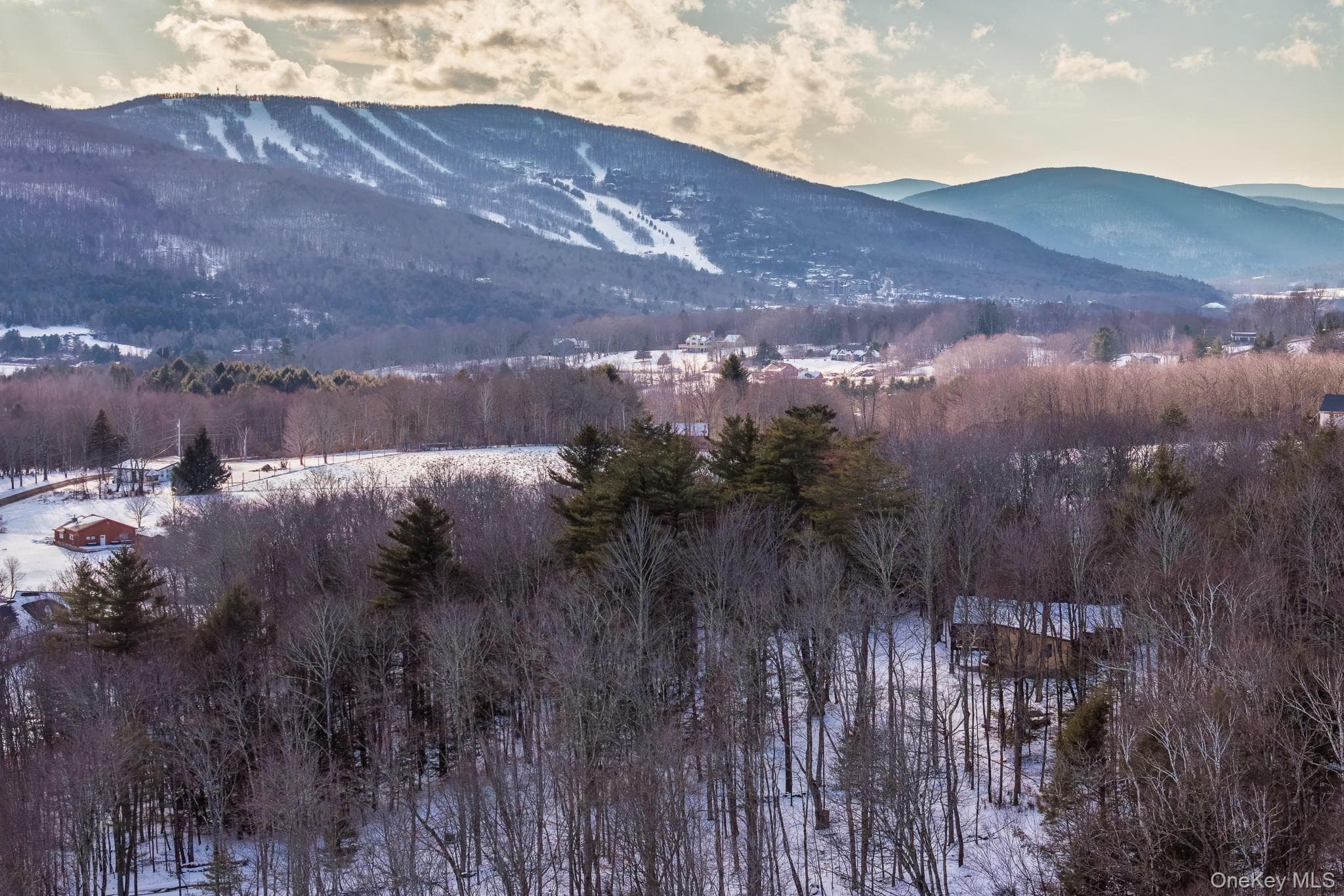 31 Windham Farms Road thumbnail 42