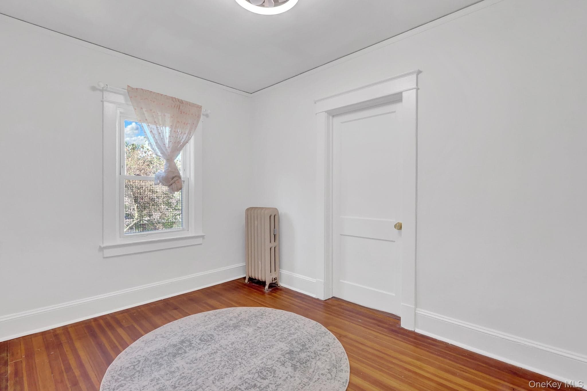 169 Butler Street thumbnail 19