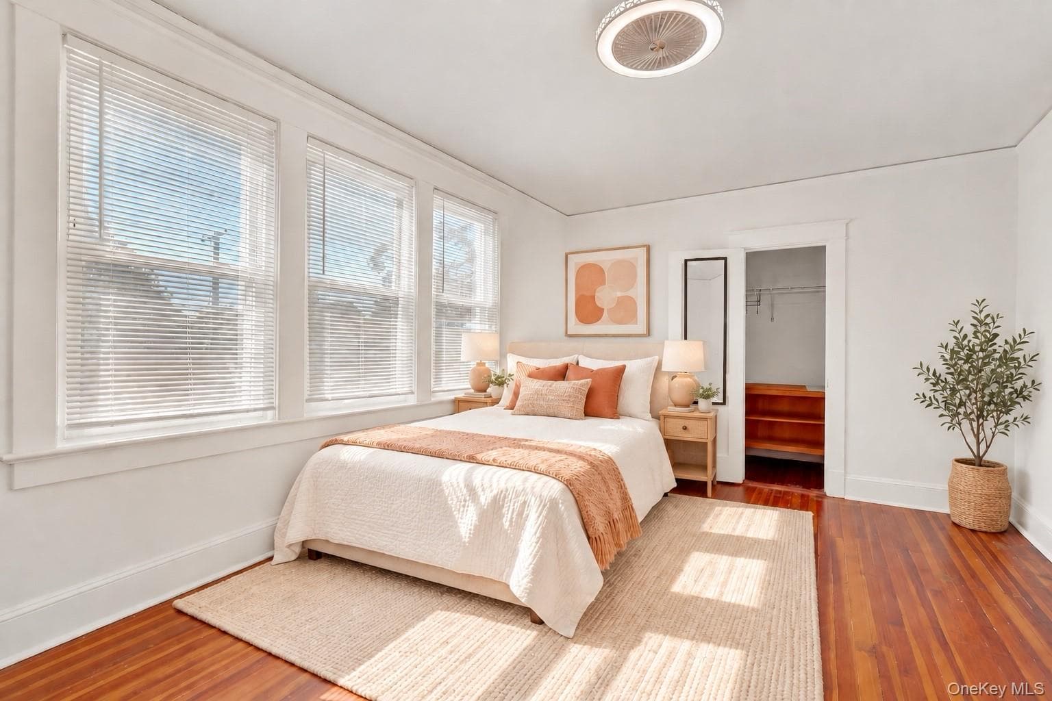 169 Butler Street thumbnail 25