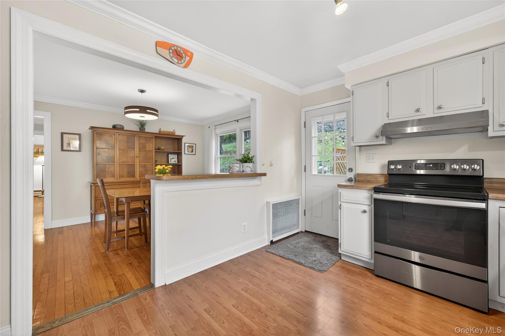 333 Oakland Avenue thumbnail 7