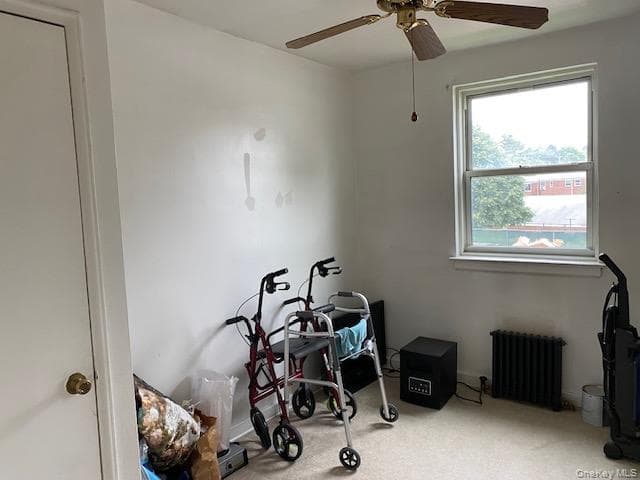 254-25 75th Avenue Unit: 2nd fl thumbnail 11