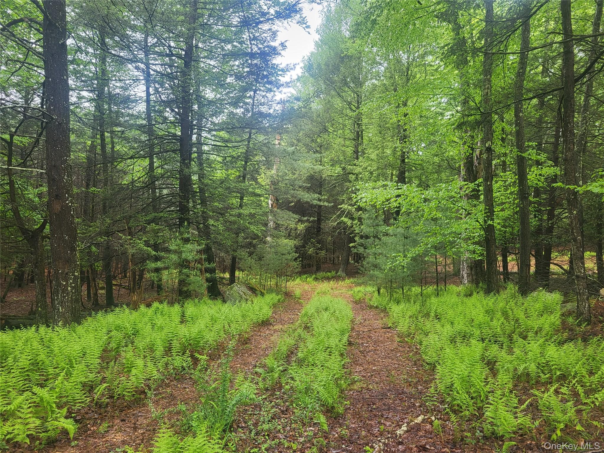 *** Marsh Rd thumbnail 3