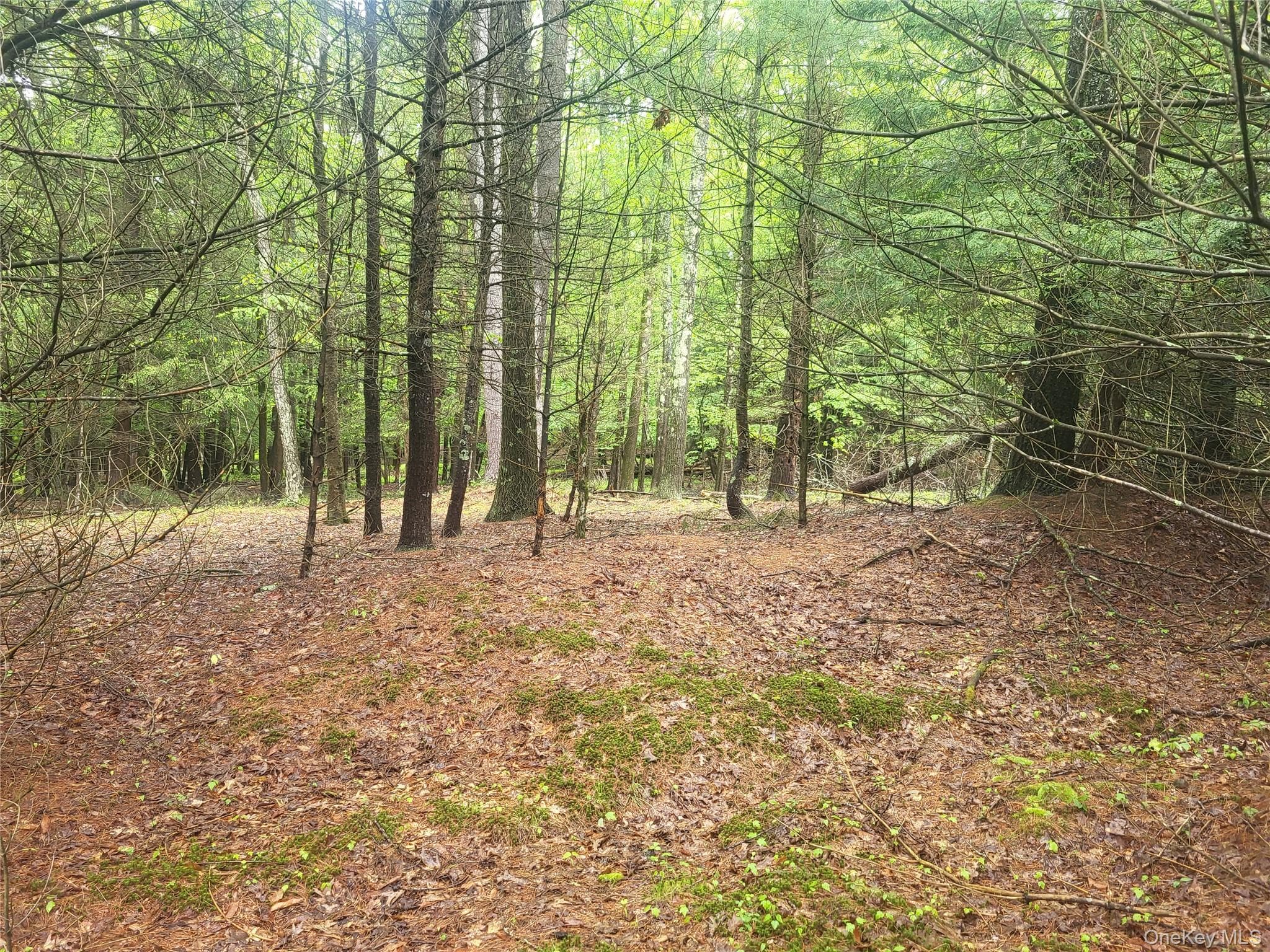 *** Marsh Rd thumbnail 6