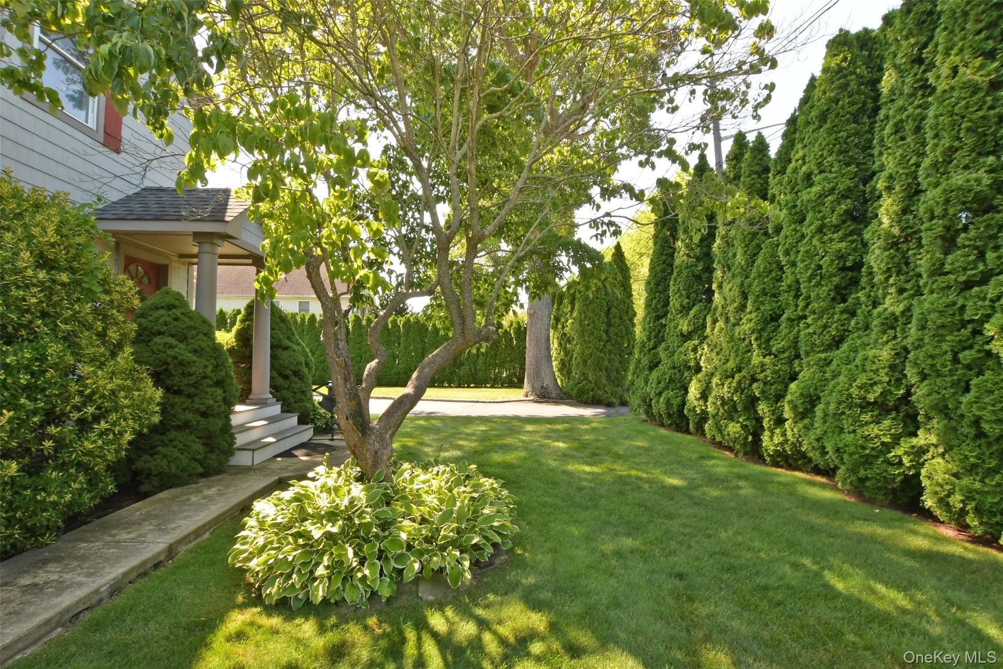 478 Marcy Avenue thumbnail 24