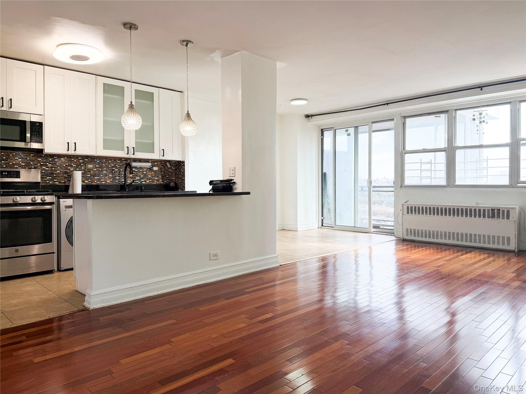 880 Boynton Avenue Unit: 9L thumbnail 5
