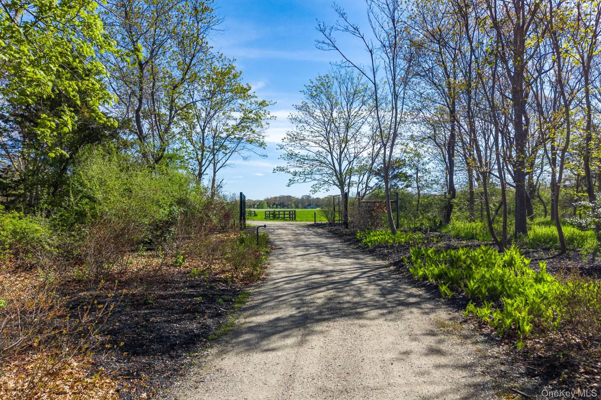 3123 & 3595 Skunk Lane photo 1