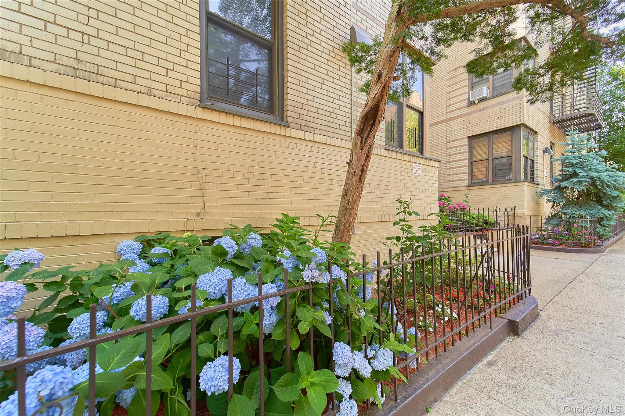 2962 Decatur Avenue Unit: 4D thumbnail 2