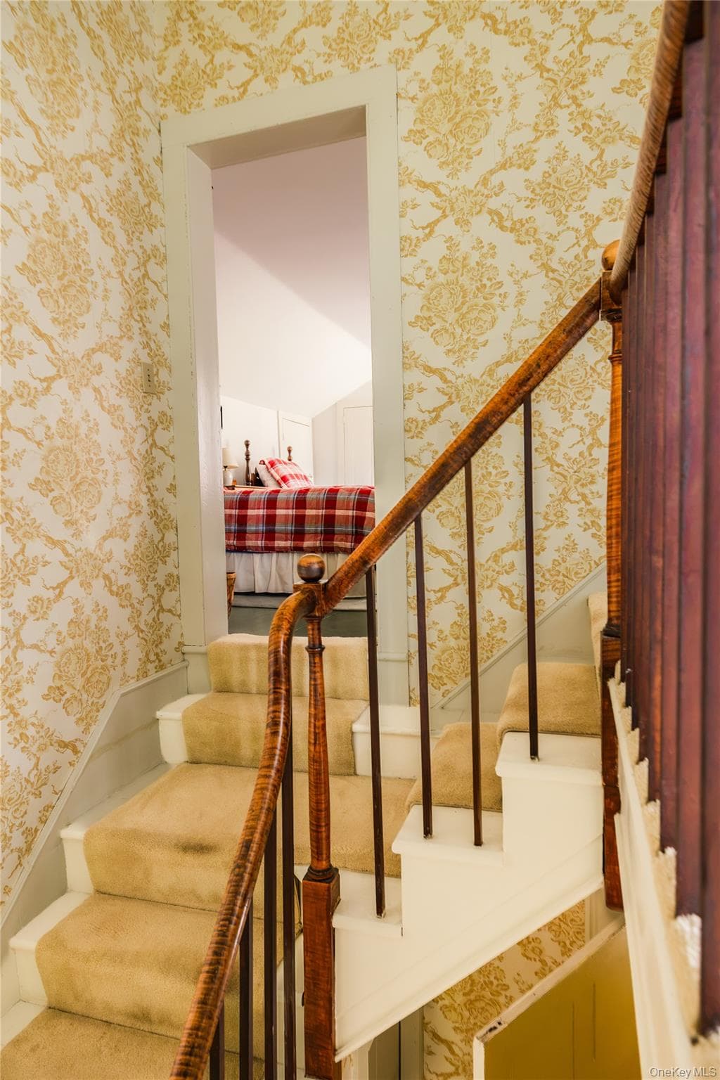18 Clove Road thumbnail 36