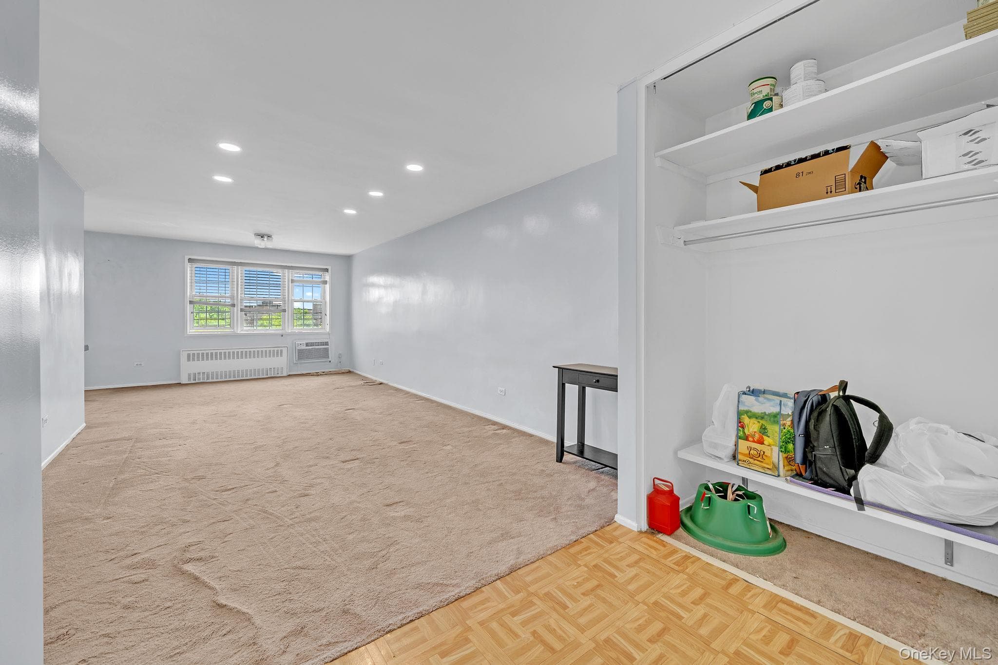 8710 149th Avenue Unit: 5F thumbnail 4
