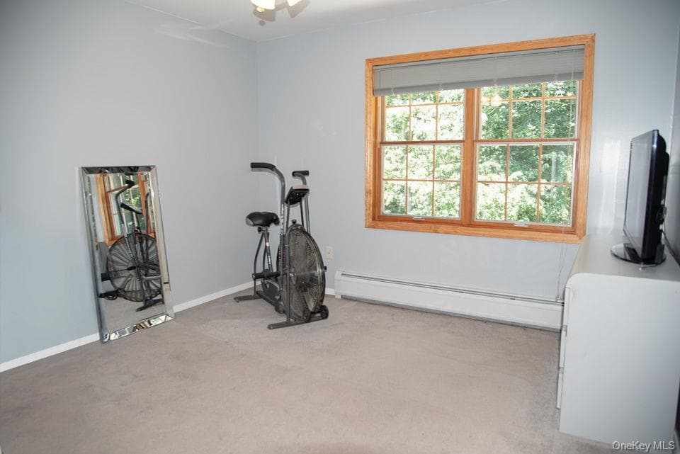 4 Hauser Terrace thumbnail 25