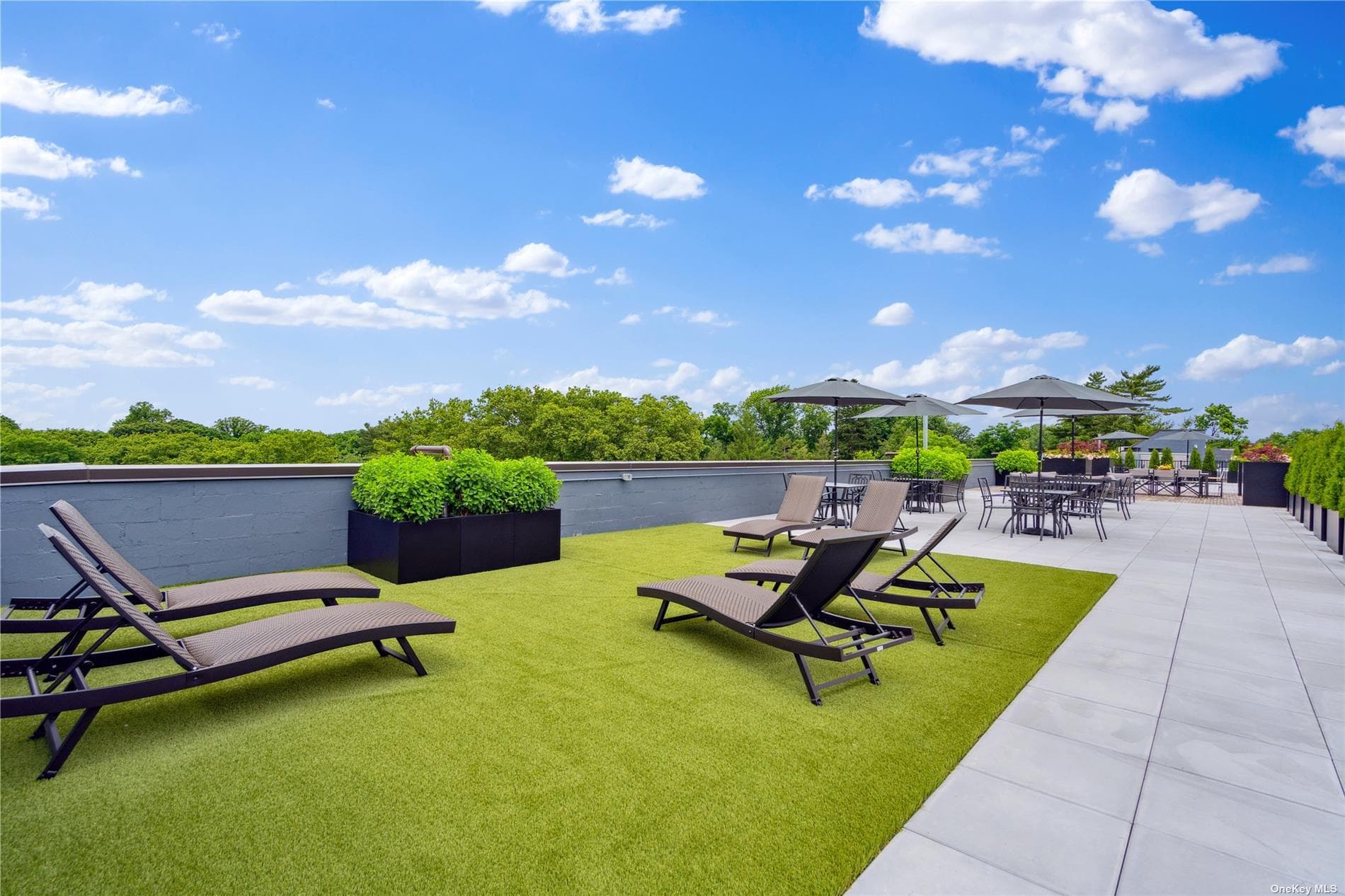 218 Middle Neck Road Unit: 203 thumbnail 11
