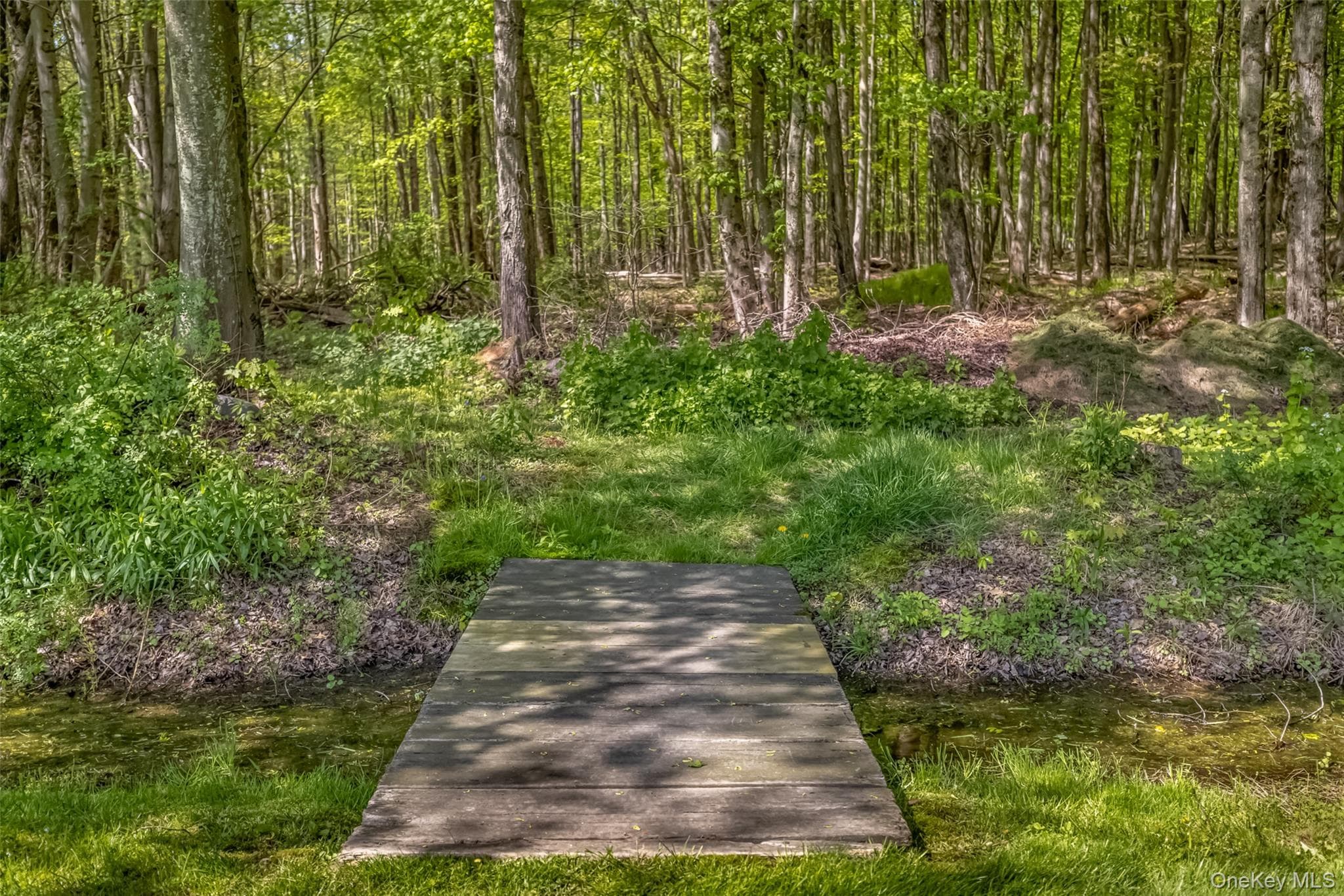 110 Cottontail Lane thumbnail 4