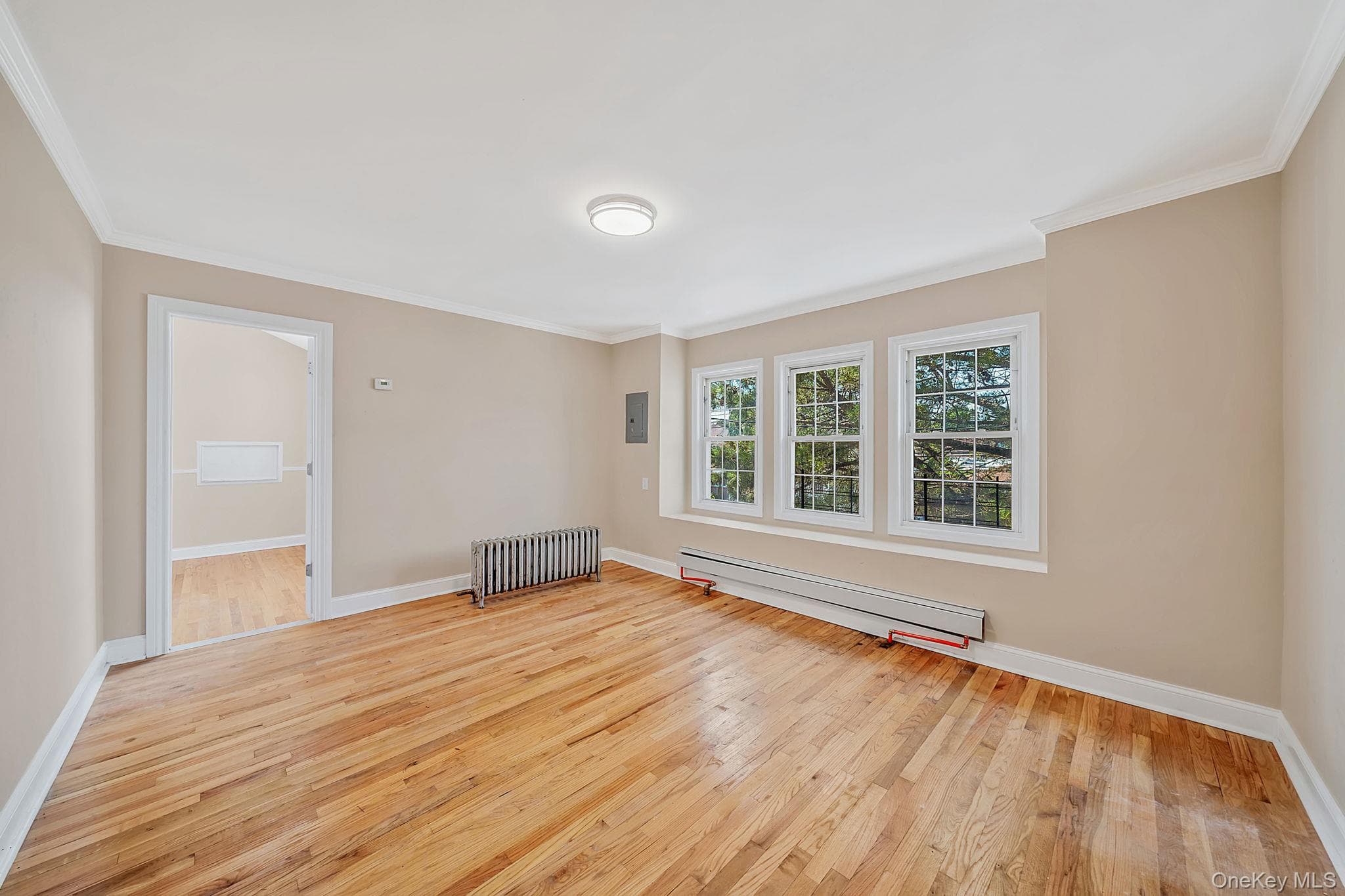 117-43 164th Street thumbnail 15