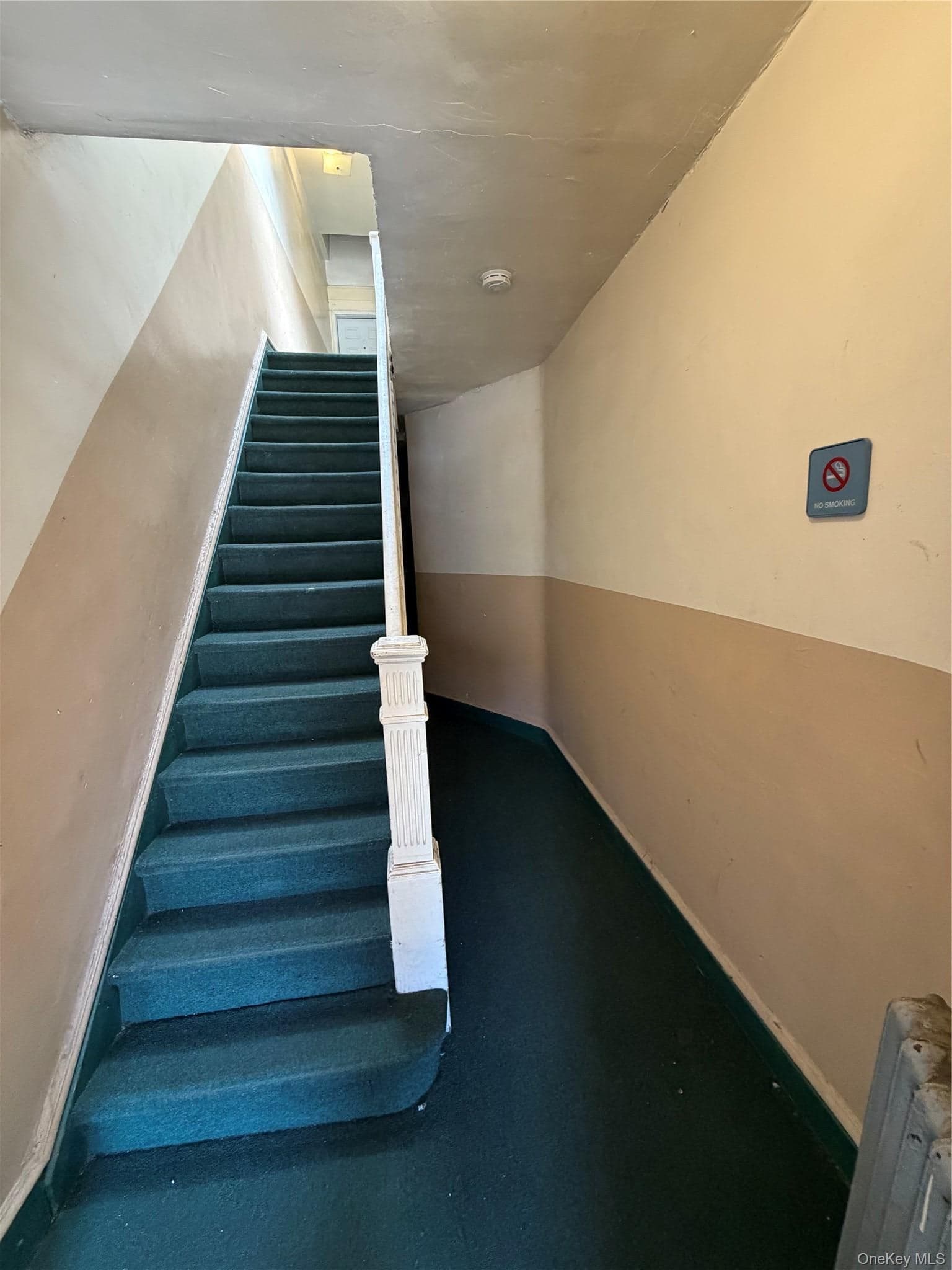 2119 Utica Avenue thumbnail 2