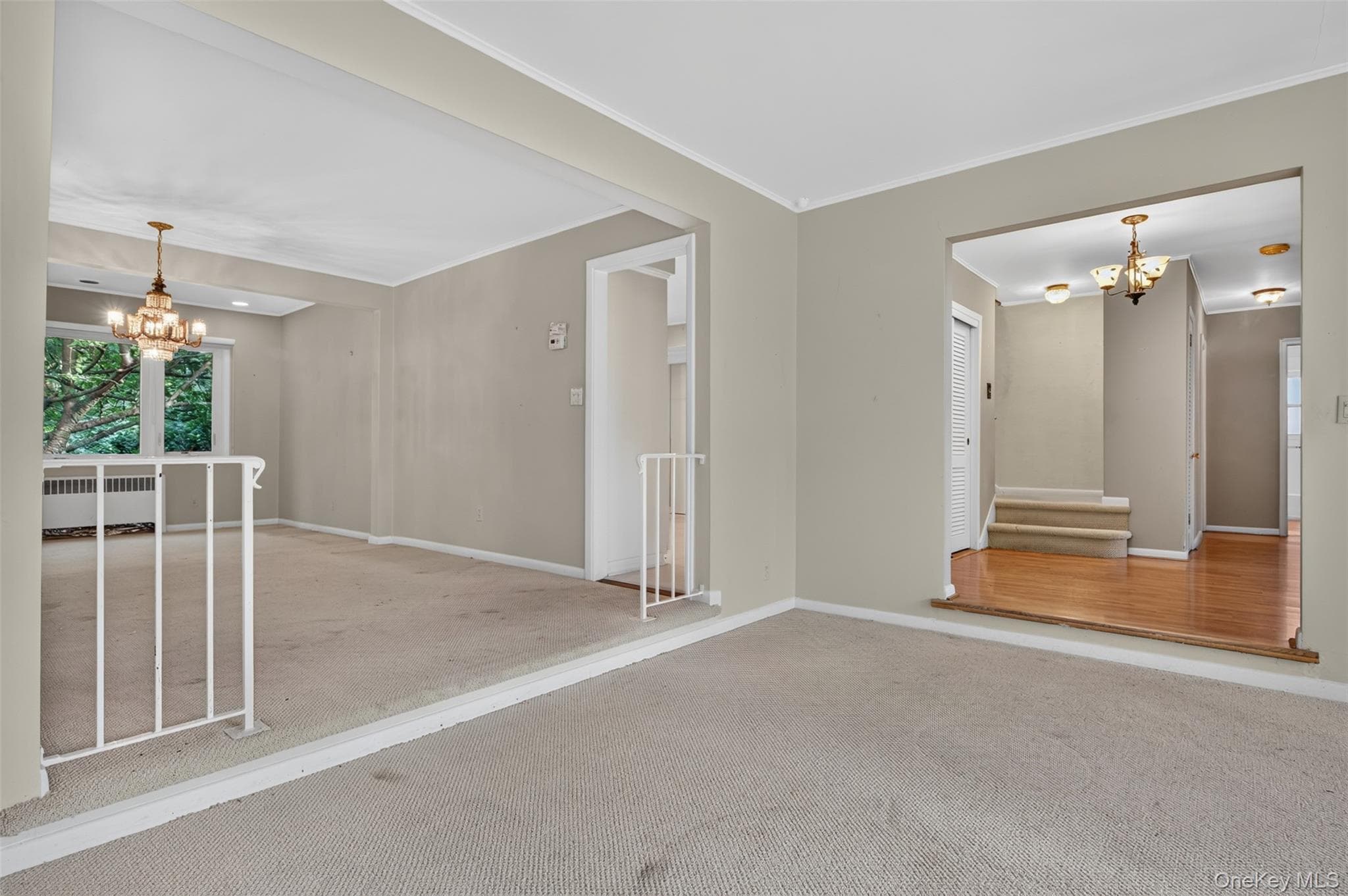 38 Beverly Road thumbnail 7