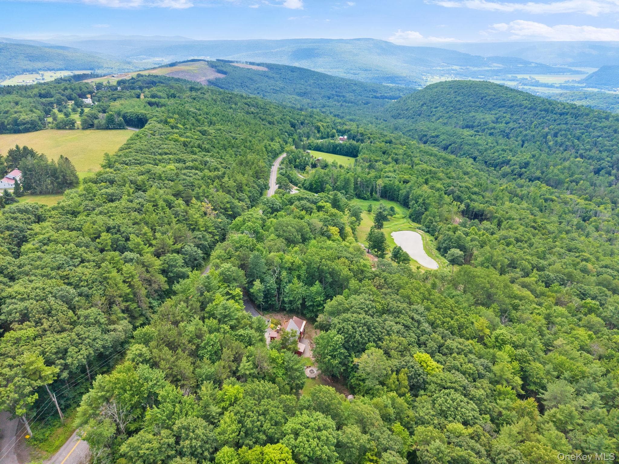 567 Cotton Hill Rd Middleburgh Ny RD thumbnail 46