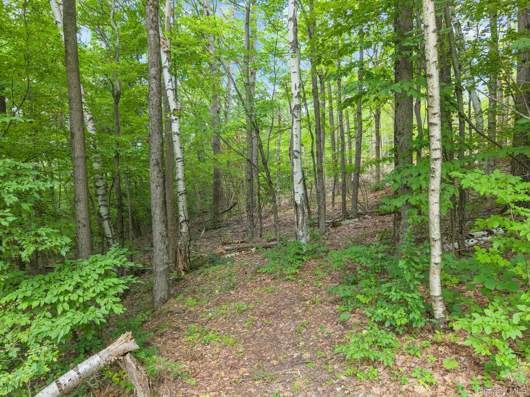 567 Cotton Hill Rd Middleburgh Ny RD thumbnail 42