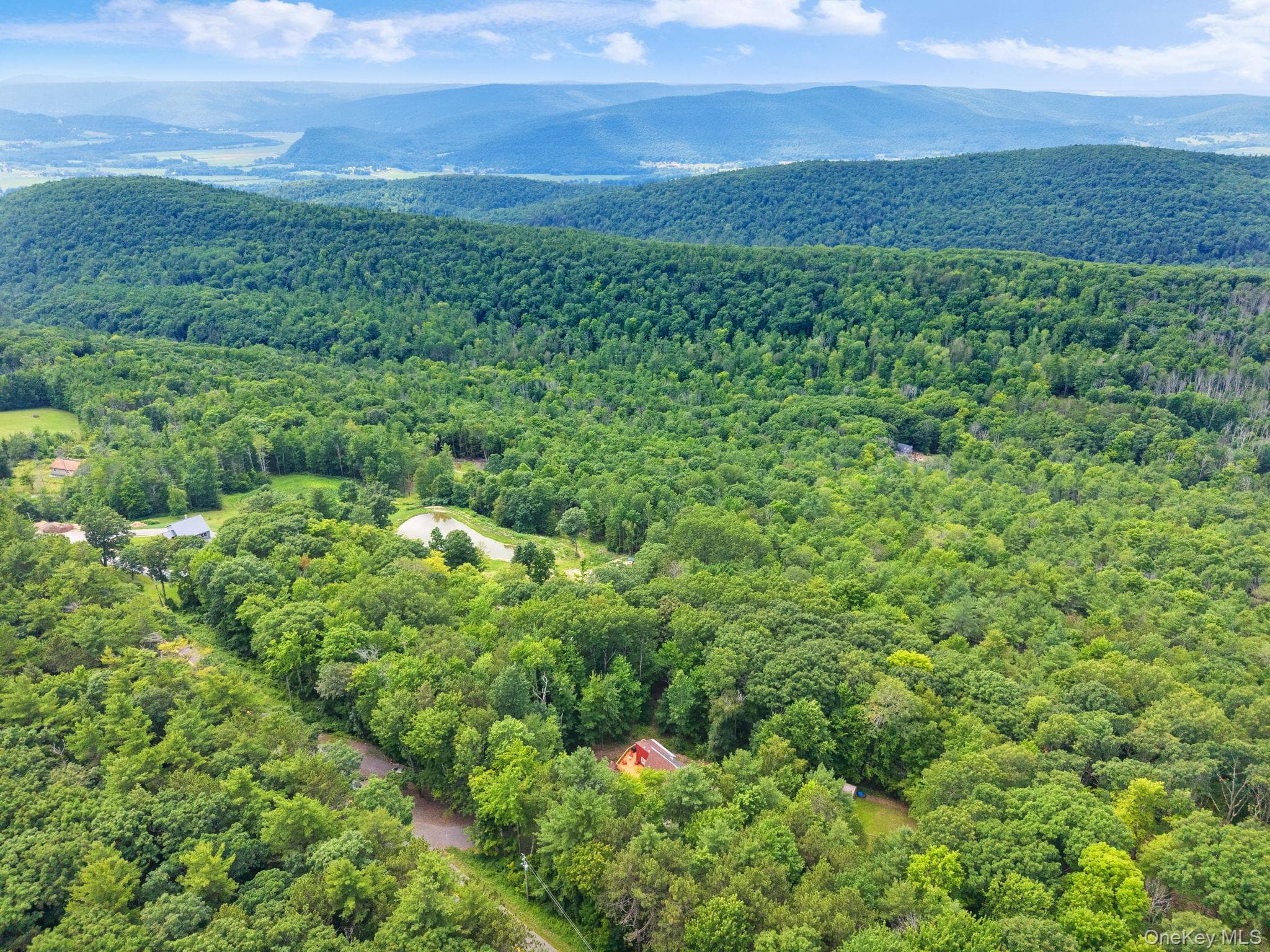 567 Cotton Hill Rd Middleburgh Ny RD thumbnail 45