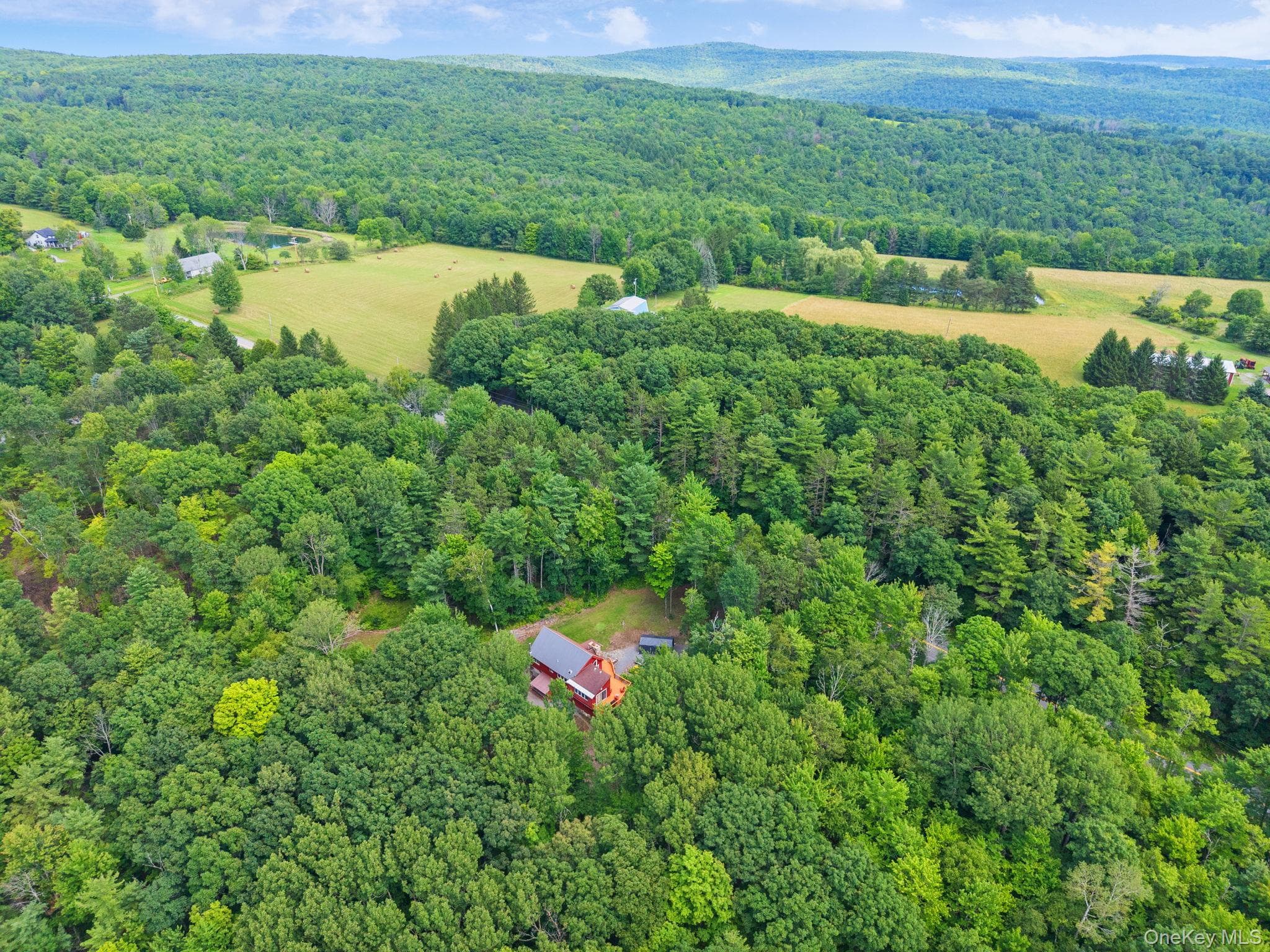 567 Cotton Hill Rd Middleburgh Ny RD thumbnail 49