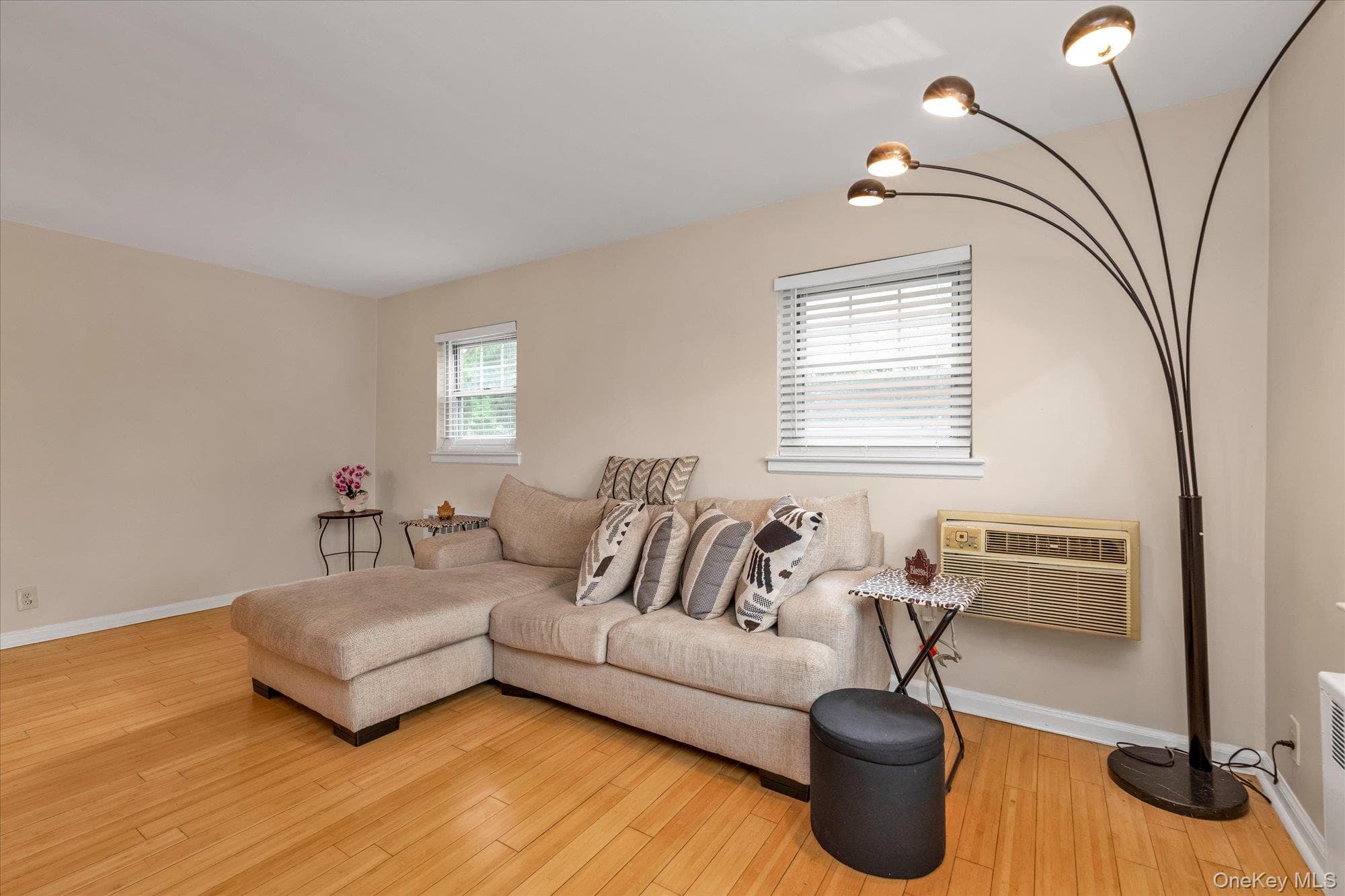 396 Merrick Road Unit: 1A thumbnail 4