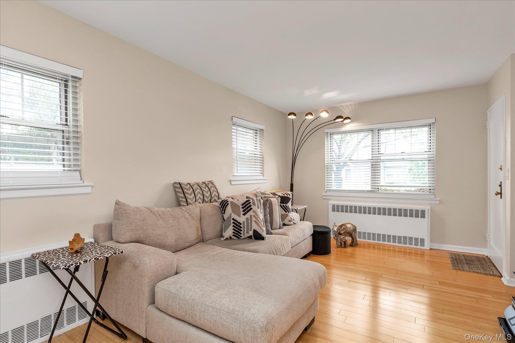 396 Merrick Road Unit: 1A thumbnail 5