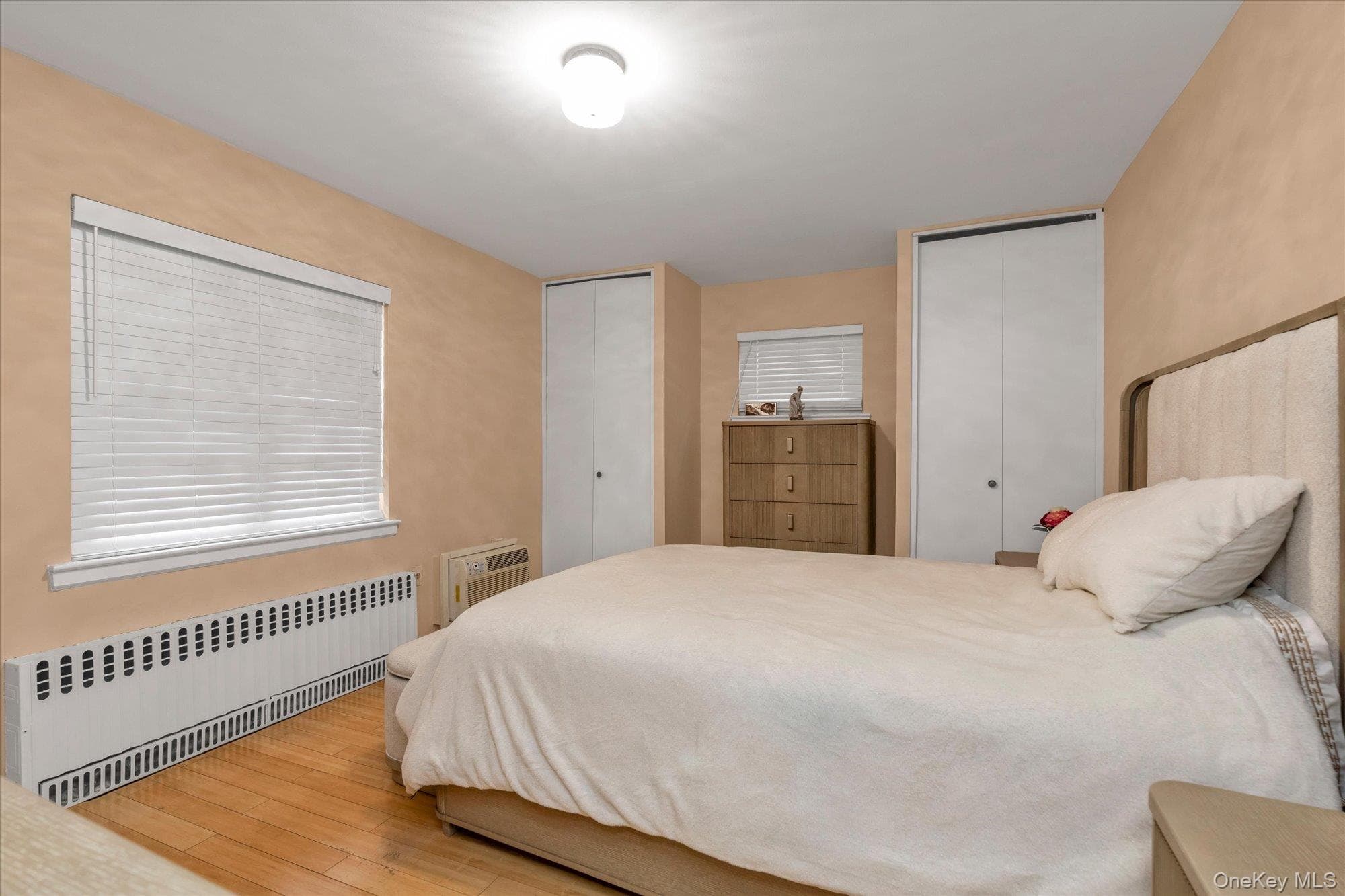 396 Merrick Road Unit: 1A thumbnail 8