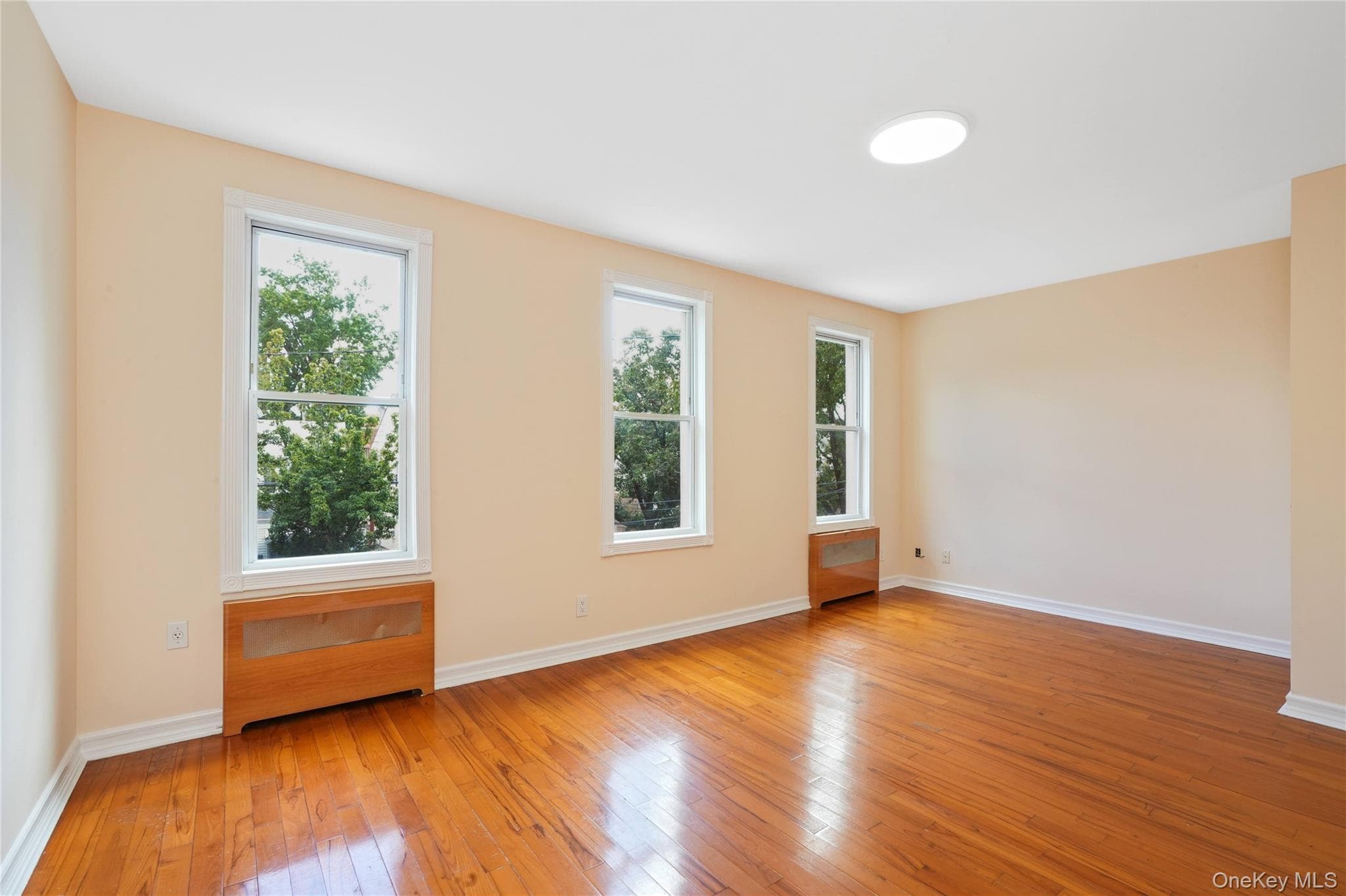 85-25 56th Avenue thumbnail 18