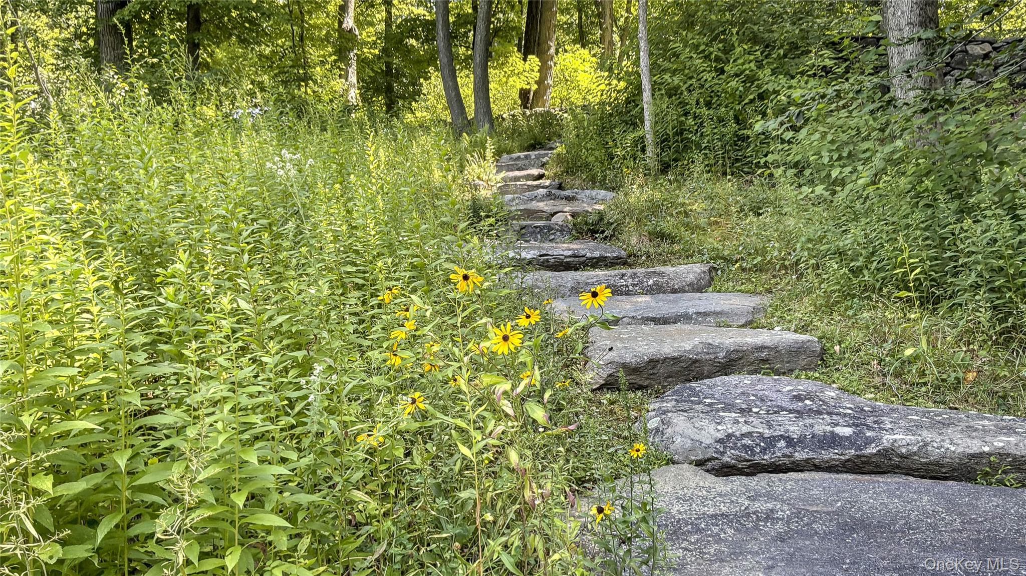 51 Old Stone Hill Road thumbnail 38
