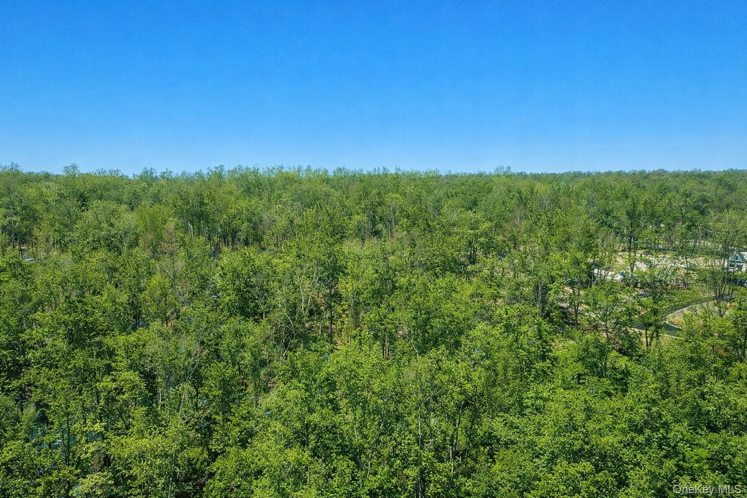 TBD County Route 12 thumbnail 6