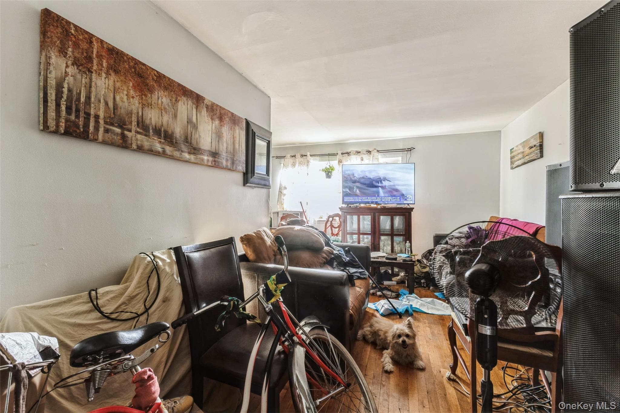 980 Jerome Street thumbnail 4