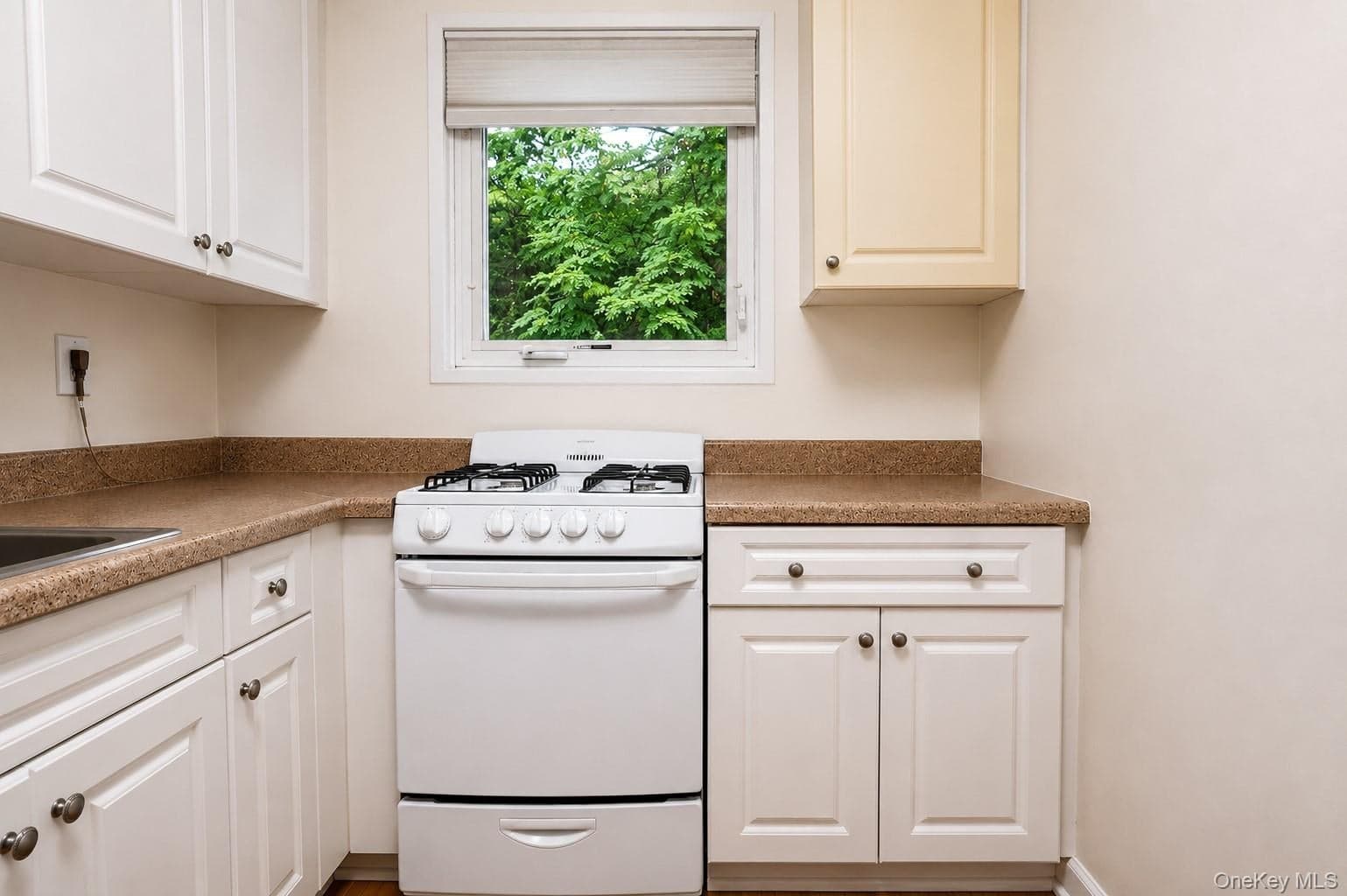 28 Oregon Avenue Unit: A thumbnail 19