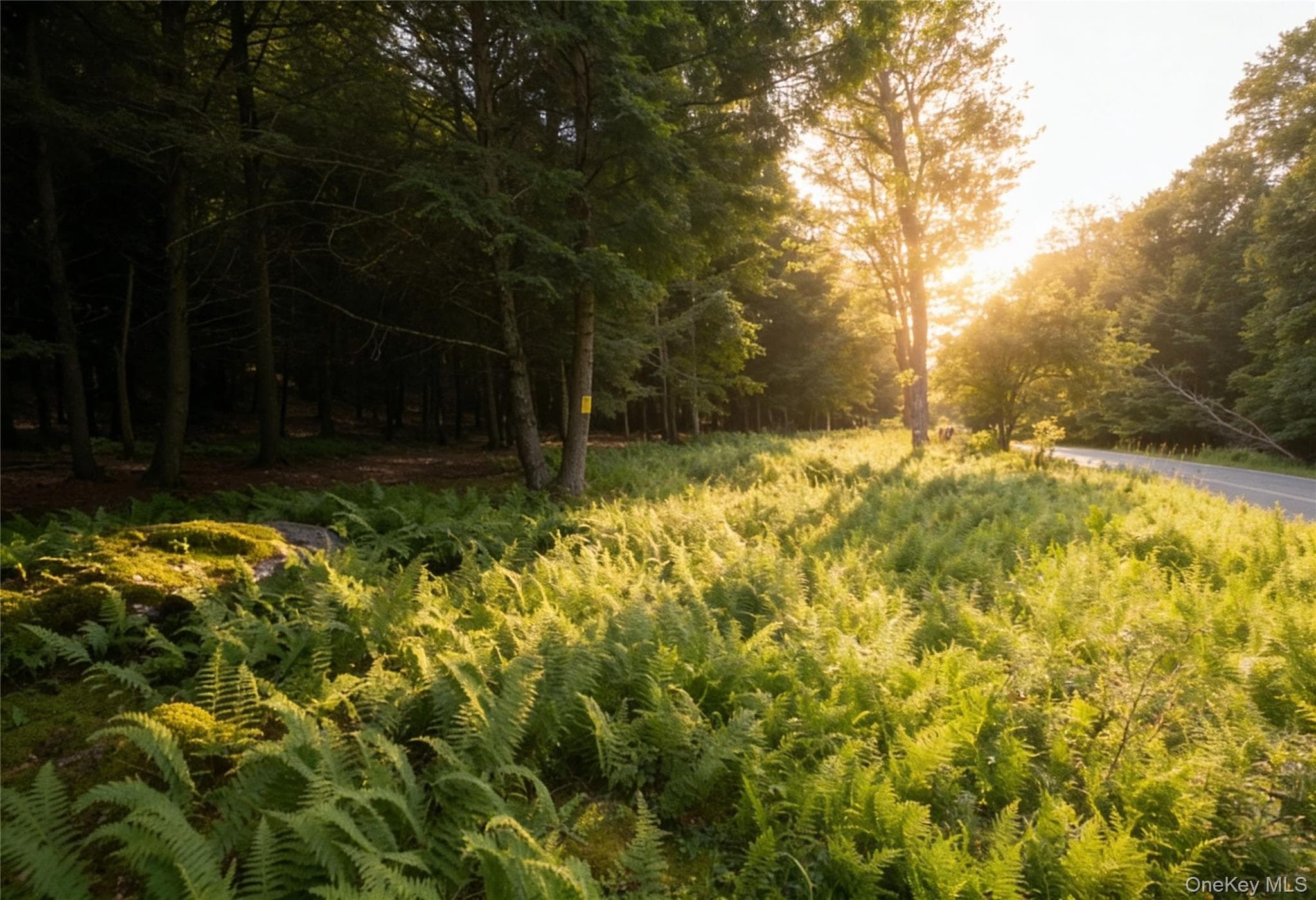 Lot 5 Timber Drive thumbnail 8