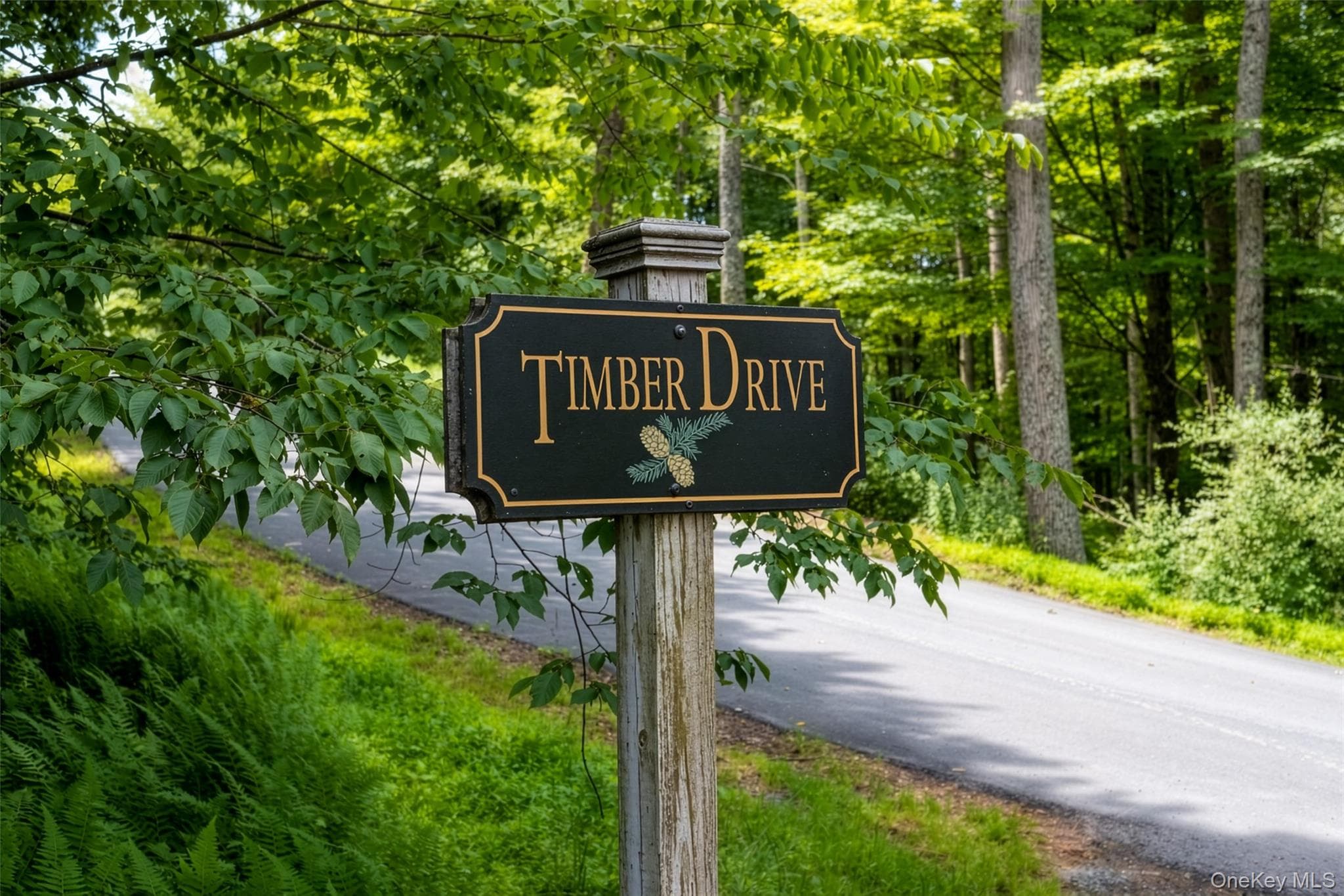 Lot 5 Timber Drive thumbnail 10