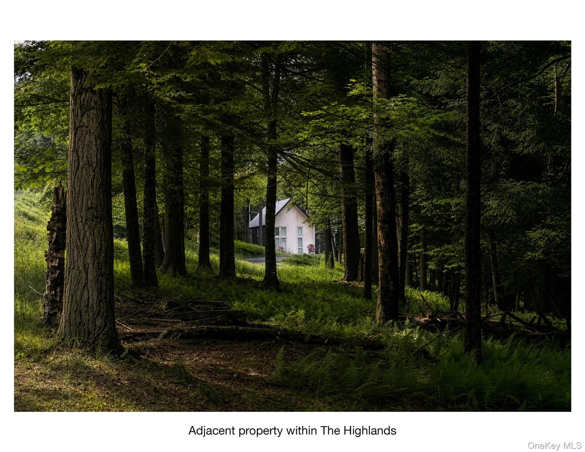 Lot 5 Timber Drive thumbnail 5