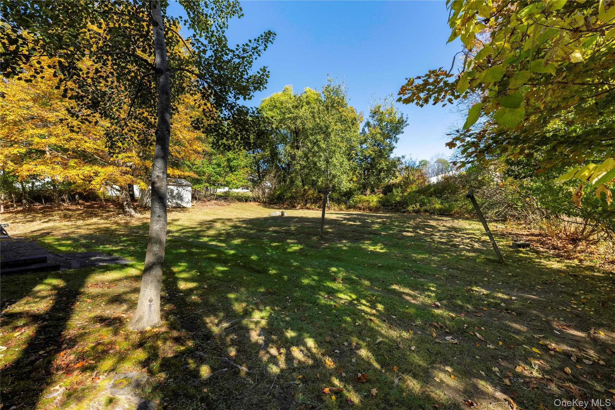 172 Ridge Road thumbnail 22