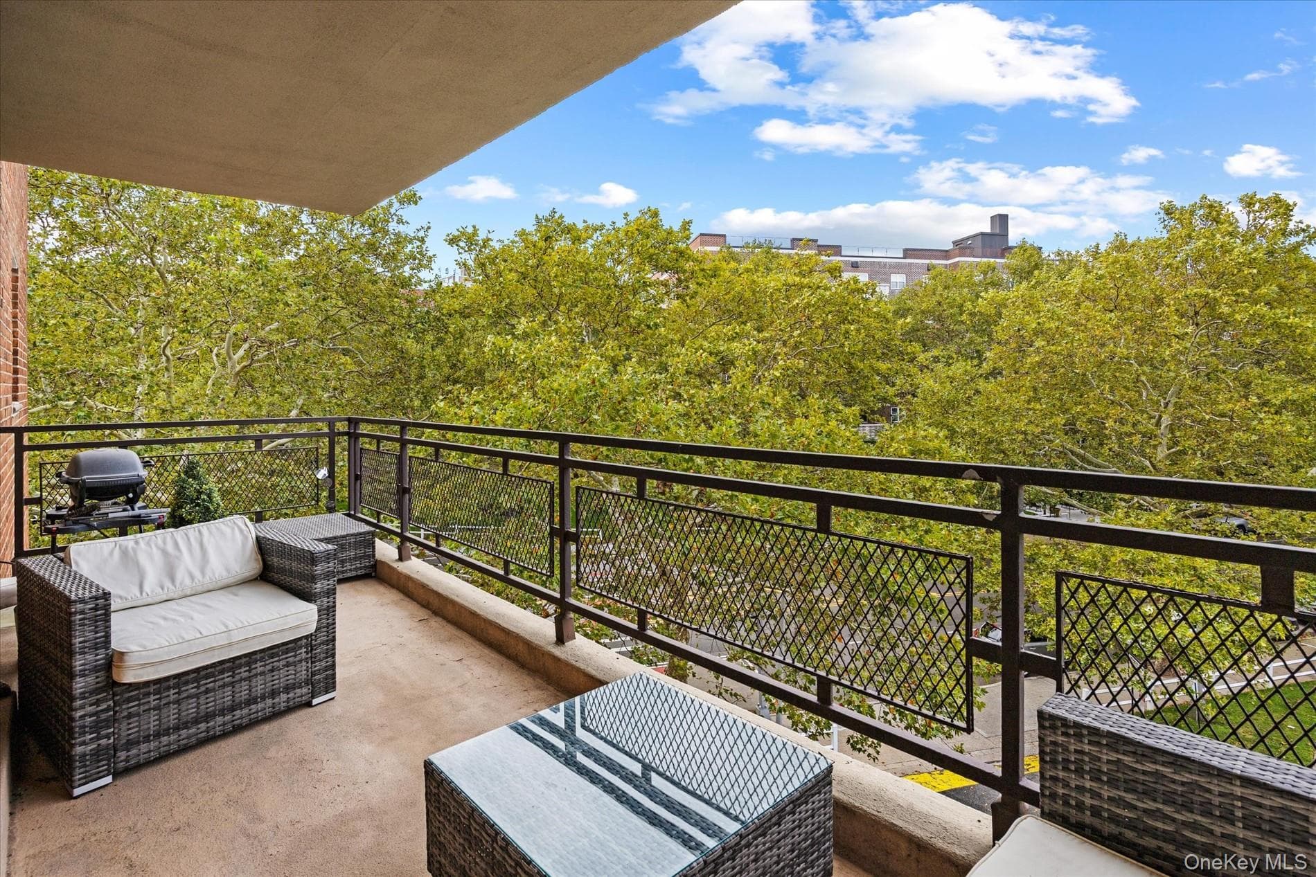 151-31 88th Street Unit: 3C thumbnail 19