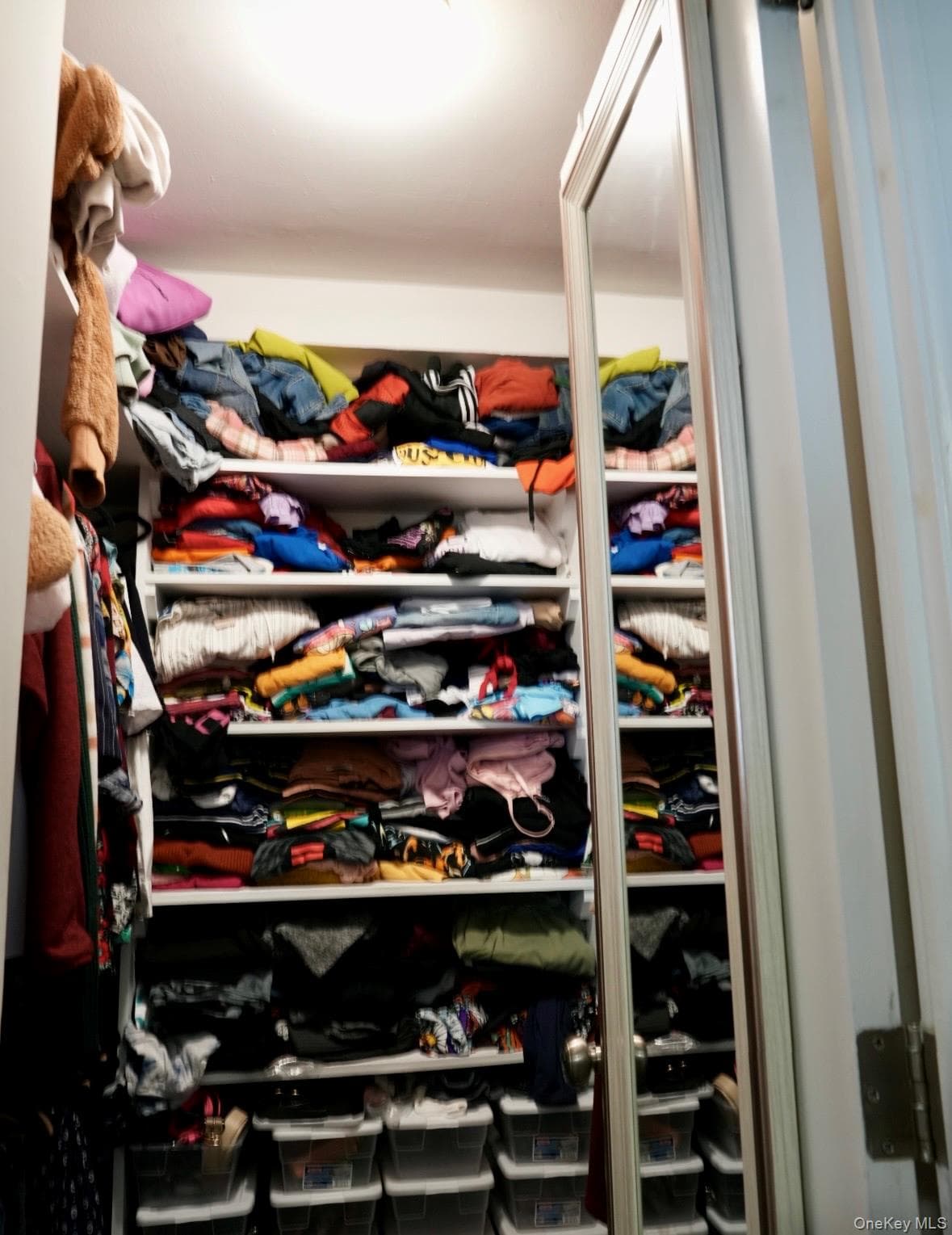 5900 Arlington Avenue Unit: 3X thumbnail 9