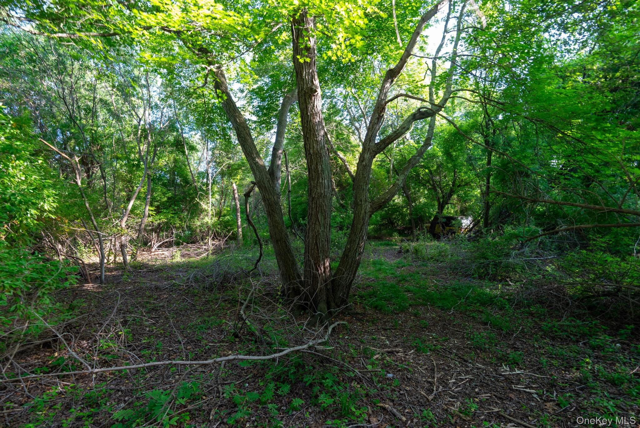 357 Smithtown Boulevard thumbnail 39