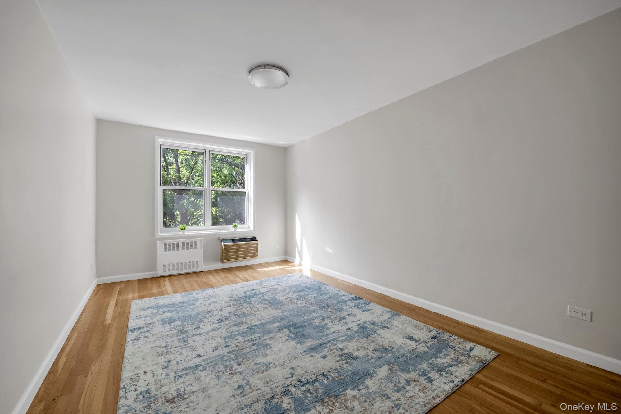 142-05 Roosevelt Avenue Unit: 320 thumbnail 10