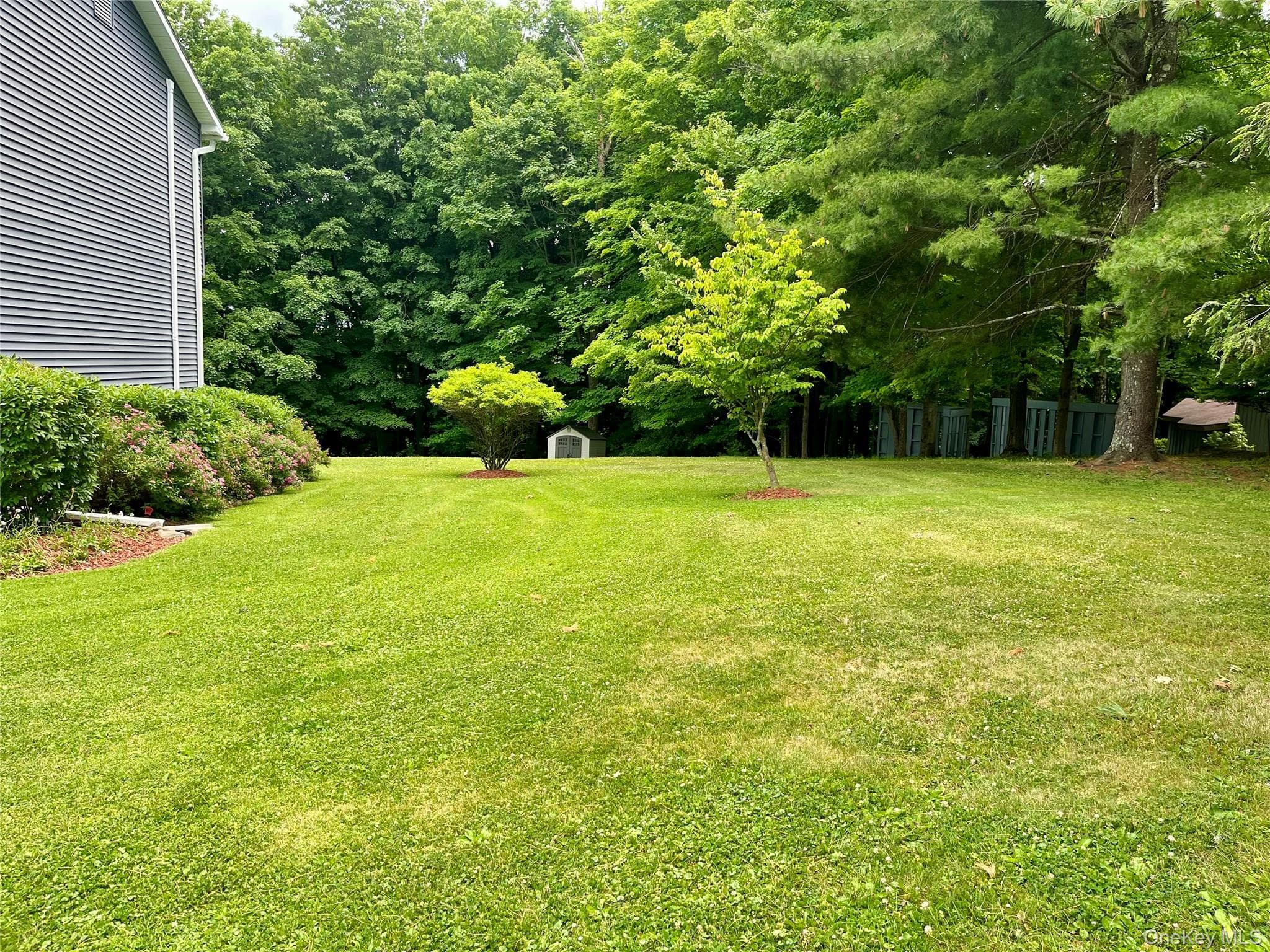 334 Greeves Road thumbnail 41