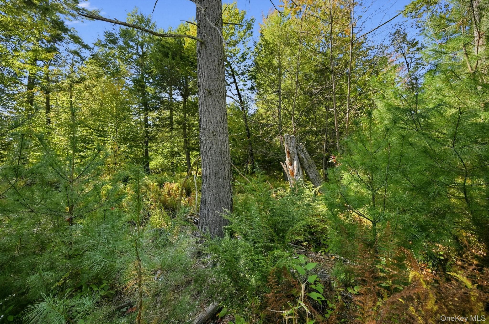118 Weiser Road thumbnail 5