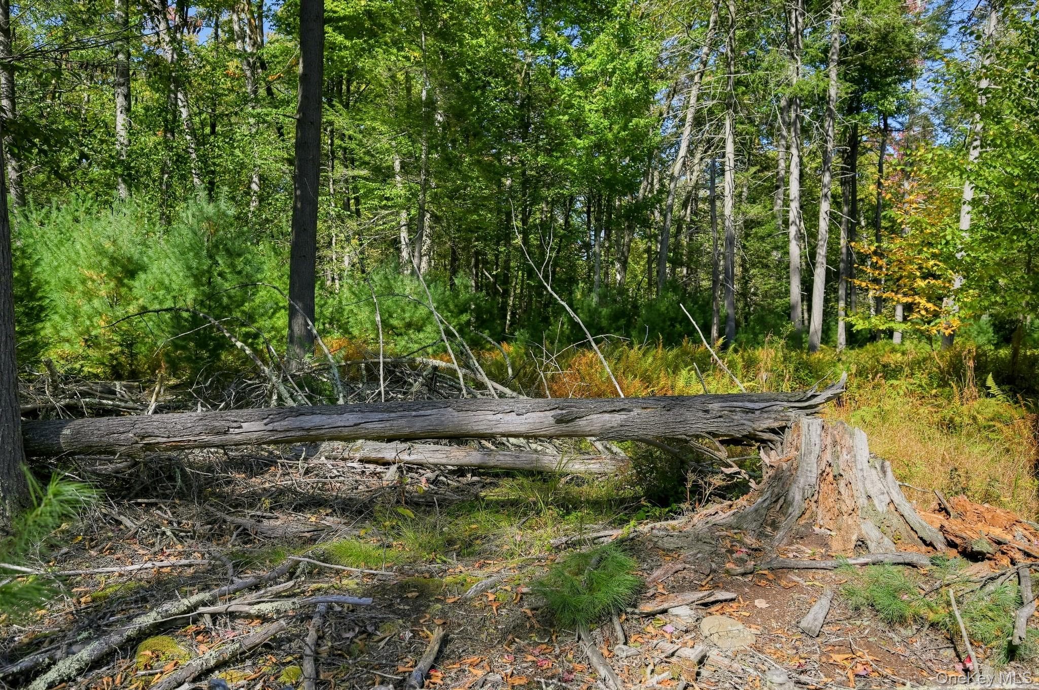 118 Weiser Road thumbnail 6